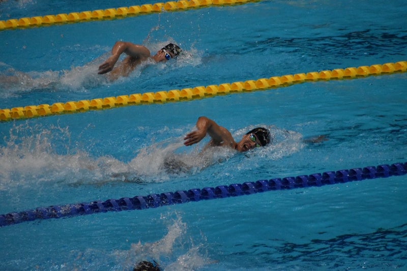 【水泳部】第98回関東学生選手権水泳競技大会結果 イメージ画像