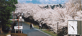 学年暦